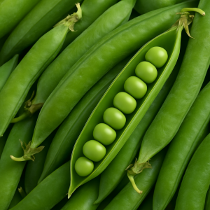 archivoChatGPT Image 12 sept 2025, 12_39_39.png